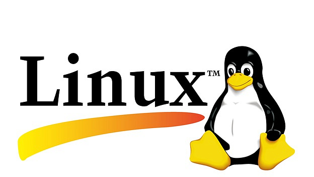 Linux Базовый курс. 
