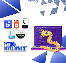 Python Development